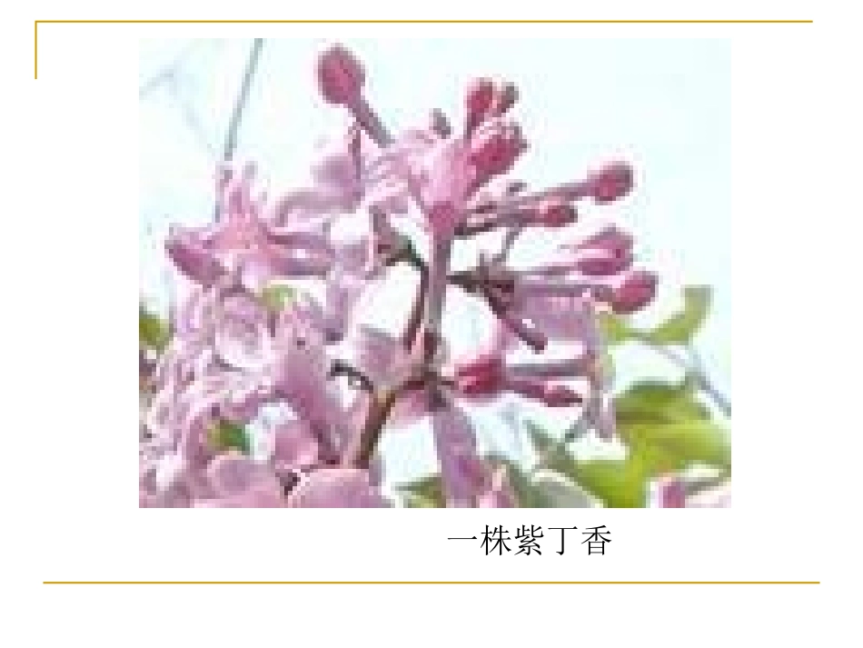 yizhuzidingxiang_第2页