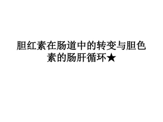 胆红素在肠道中的