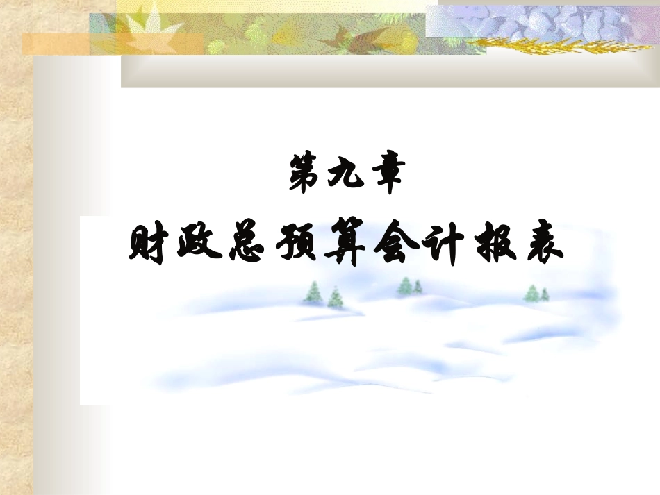 财政总预算会计报表_第1页