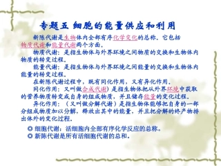 ATP和呼吸作用