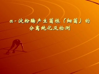 α-淀粉酶产生菌株(细菌)的分离纯化及检测