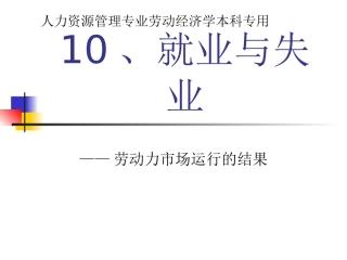 (10)就业与失业