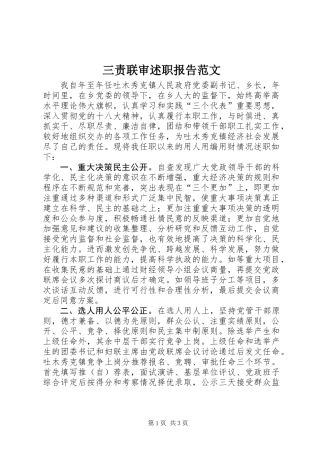 三责联审述职报告范文