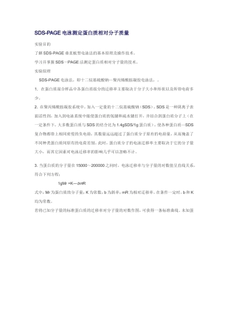 SDS-PAGE电泳测定蛋白质相对分子质量