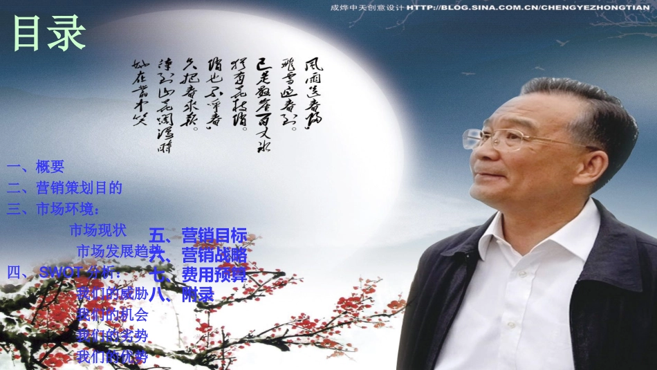 滴眼液市场营销的策划方案总结_第2页