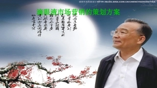 滴眼液市场营销的策划方案总结