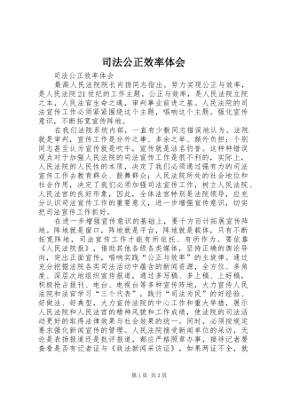 司法公正效率体会