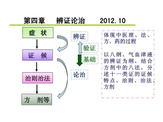 辨证论治--半表半里证、表里同病