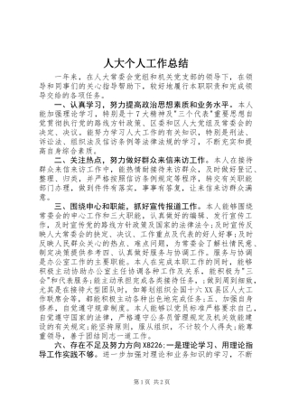 人大个人工作总结