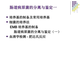 肠道病原菌的分离与鉴定一