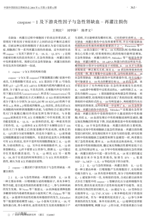 caspase-1及下游炎性因子与急性肾缺血-再灌注损伤