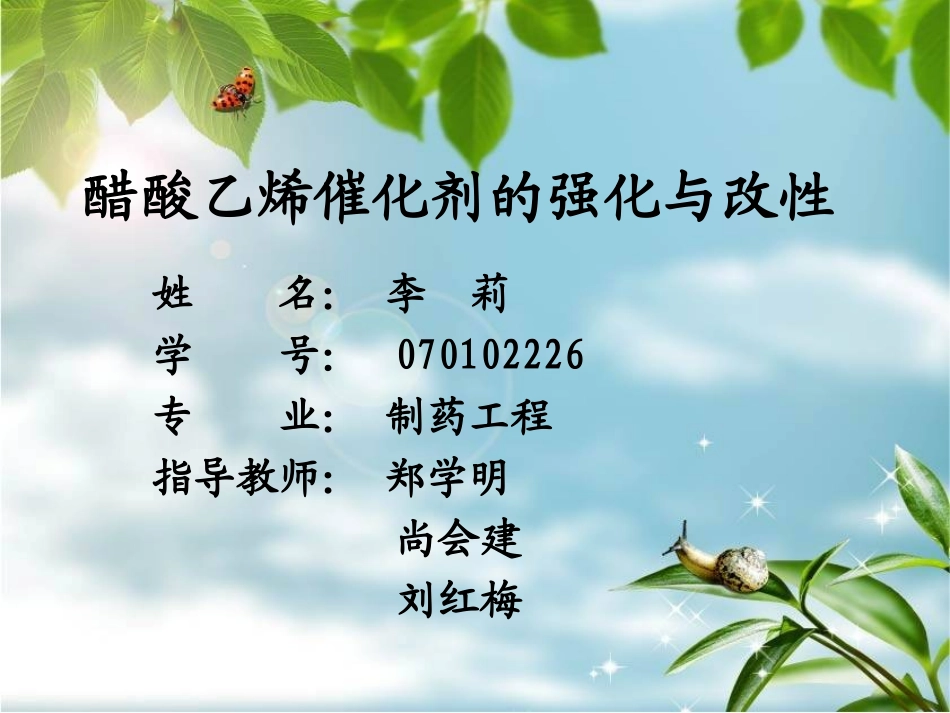 醋酸乙烯催化剂2_第1页