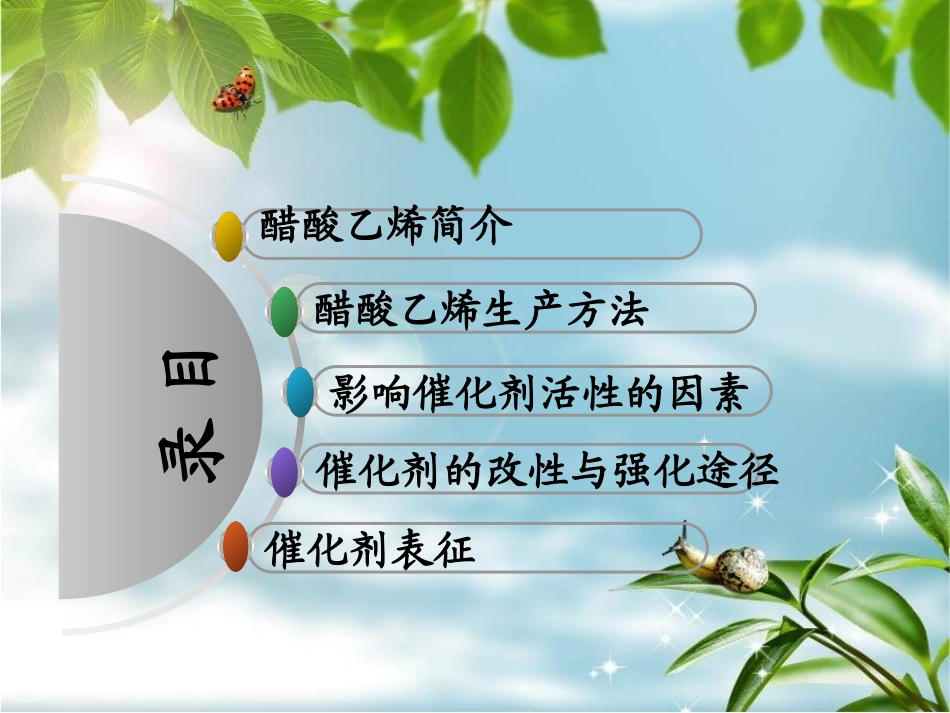 醋酸乙烯催化剂2_第2页