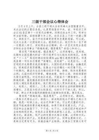 三级干部会议心得体会