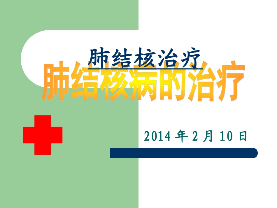 20140210肺结核病的治疗_第1页