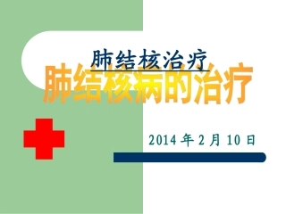 20140210肺结核病的治疗