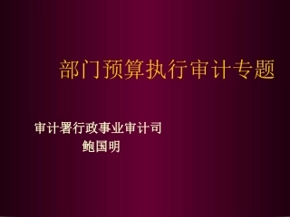 部门预算执行审计专题2