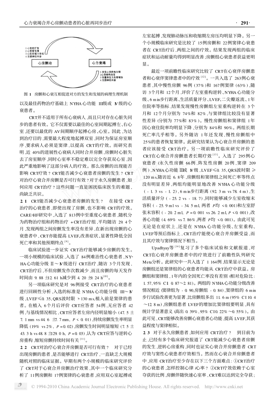 crt心衰房颤_第2页