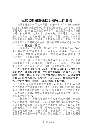 任发改委副主任挂职锻炼工作总结