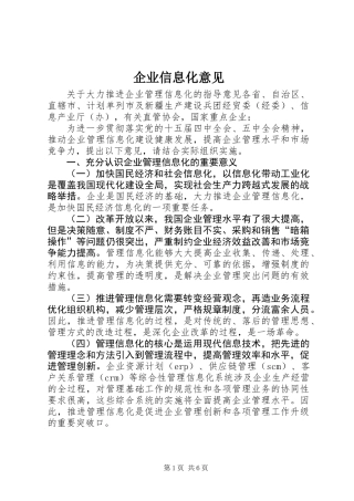 企业信息化意见