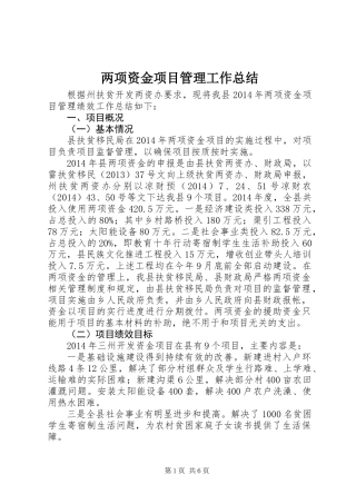 两项资金项目管理工作总结