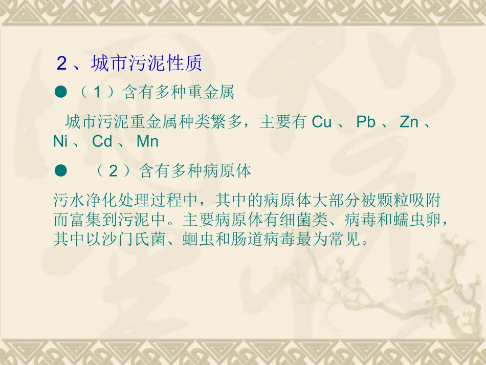 城市垃圾-城市污泥资源化_第2页