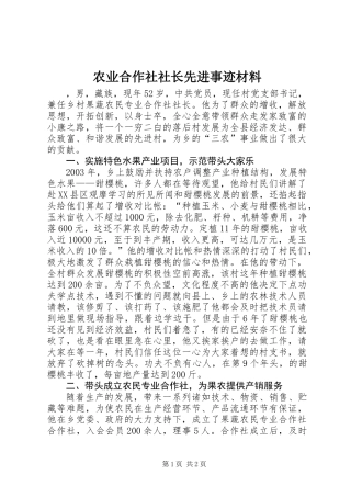 农业合作社社长先进事迹材料