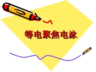 等电聚焦电泳