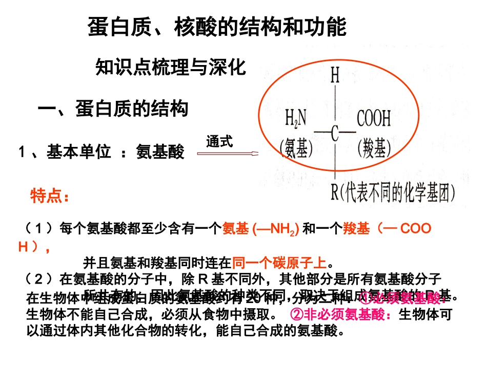 第3节   蛋白质、核酸的结构和功能_第1页