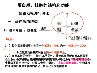 第3节   蛋白质、核酸的结构和功能