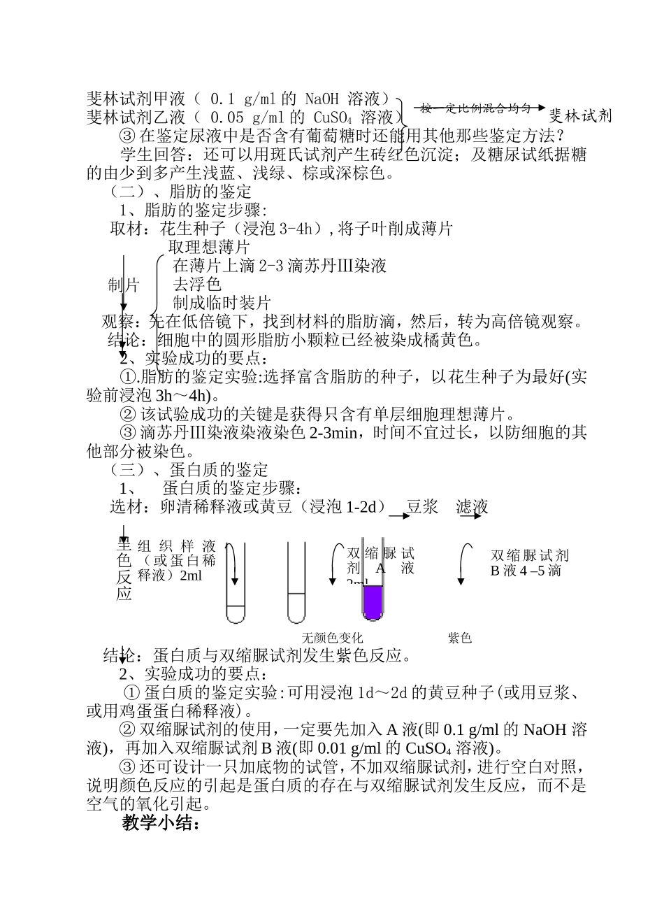 蛋白质的检测流程_第3页