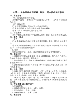 蛋白质的检测流程