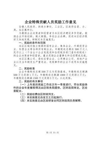 企业特殊贡献人员奖励工作意见