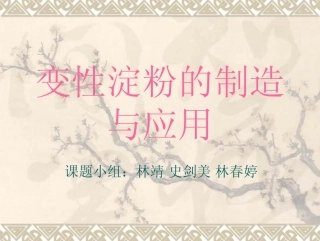 变性淀粉的制造