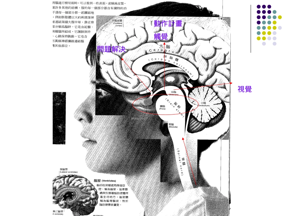 ADHD团体与社交技巧训练活动分享_第3页