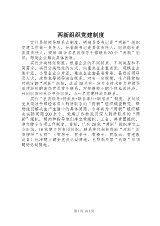 两新组织党建制度 (2)