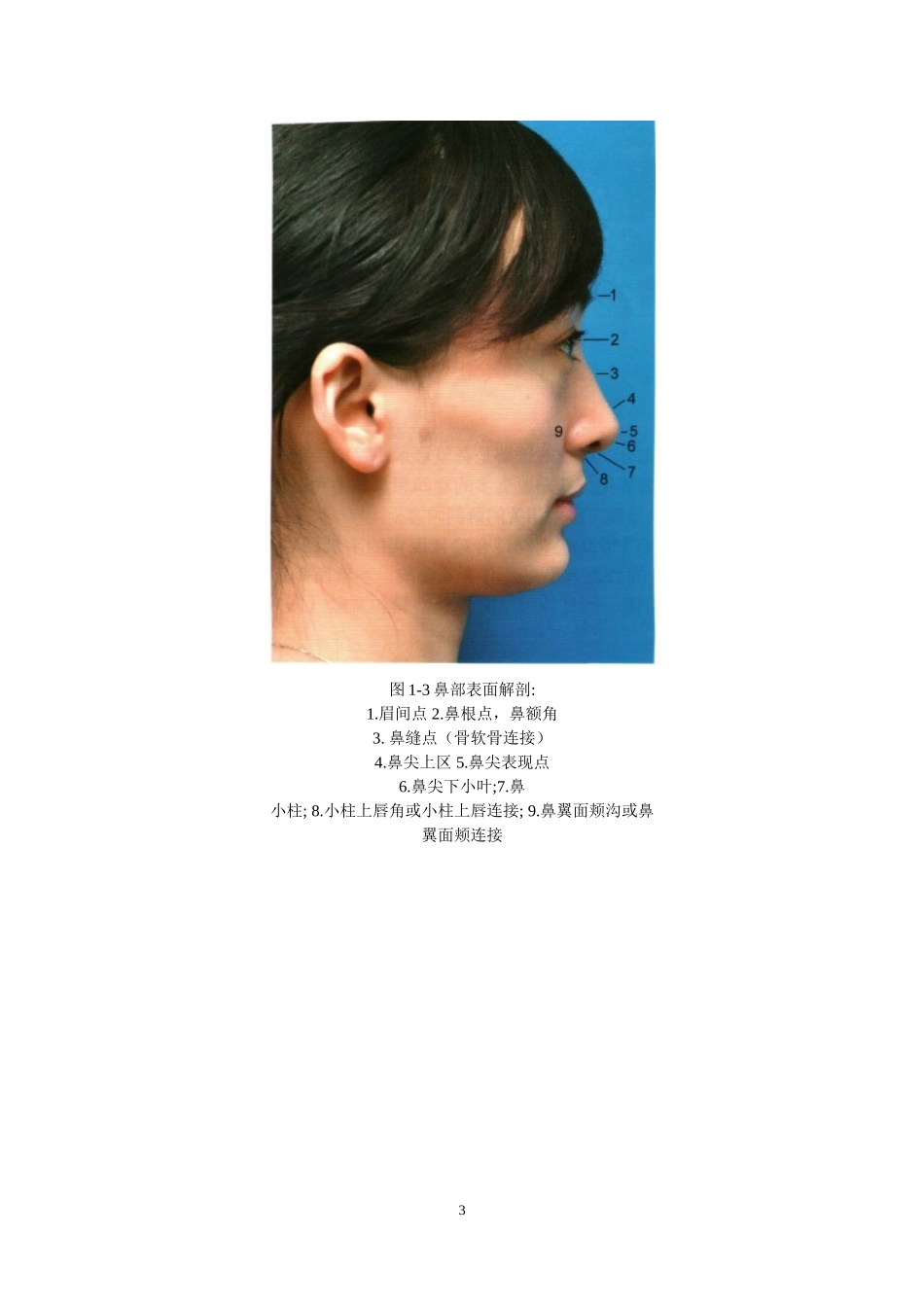 鼻部整形解剖教程_第3页