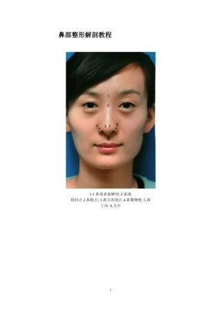 鼻部整形解剖教程
