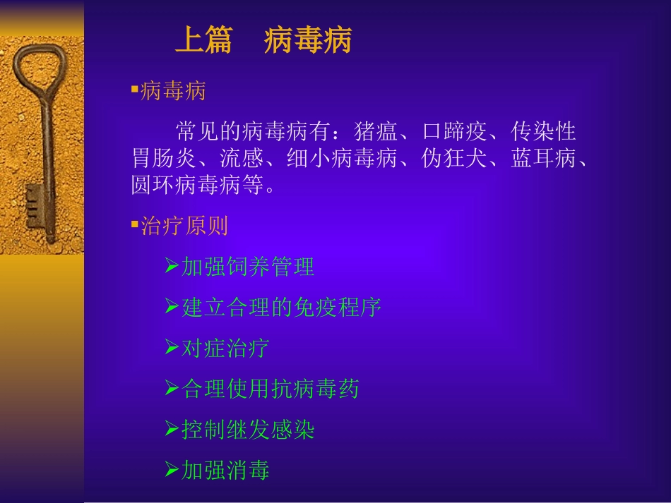 常见猪病的治疗与用药_第2页