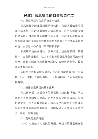 民政厅信息安全的自查报告范文
