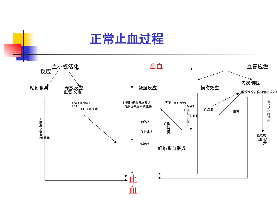 出 血 性 疾 病_第3页