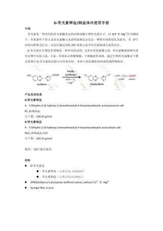 D-荧光素活体操作手册