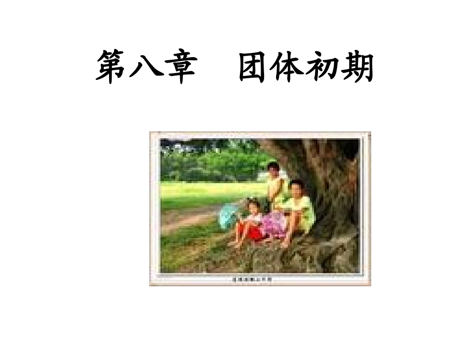 第八章  团体初期_第1页