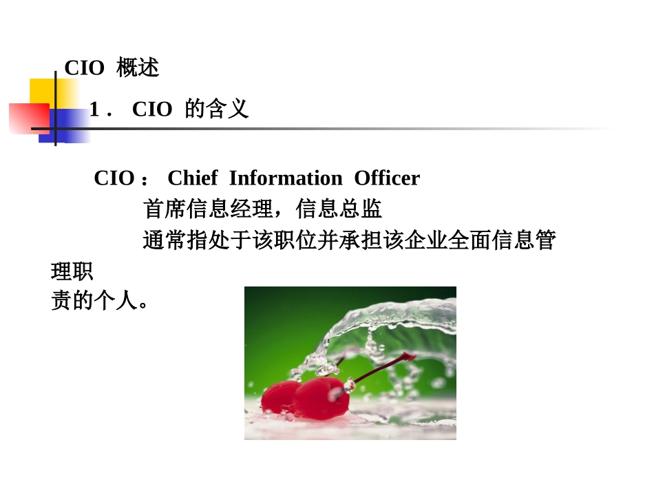 CIO的职责与作用_第3页