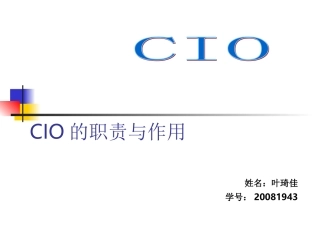 CIO的职责与作用