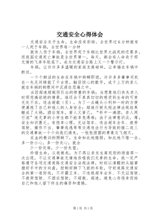交通安全心得体会_1