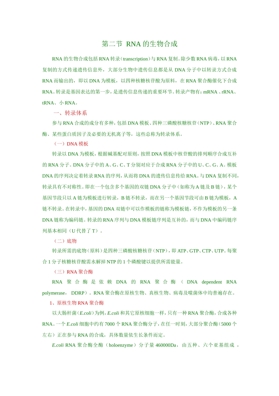 RNA的合成_第1页