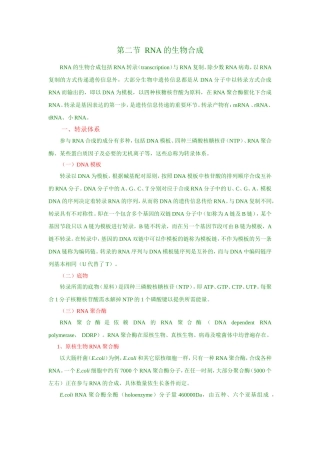 RNA的合成