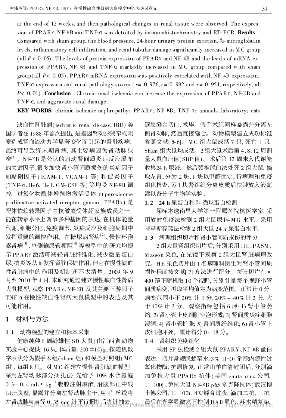 PPAR_NF_B_TNF_在慢性缺血性肾病大鼠模型中的表达及意义_第2页