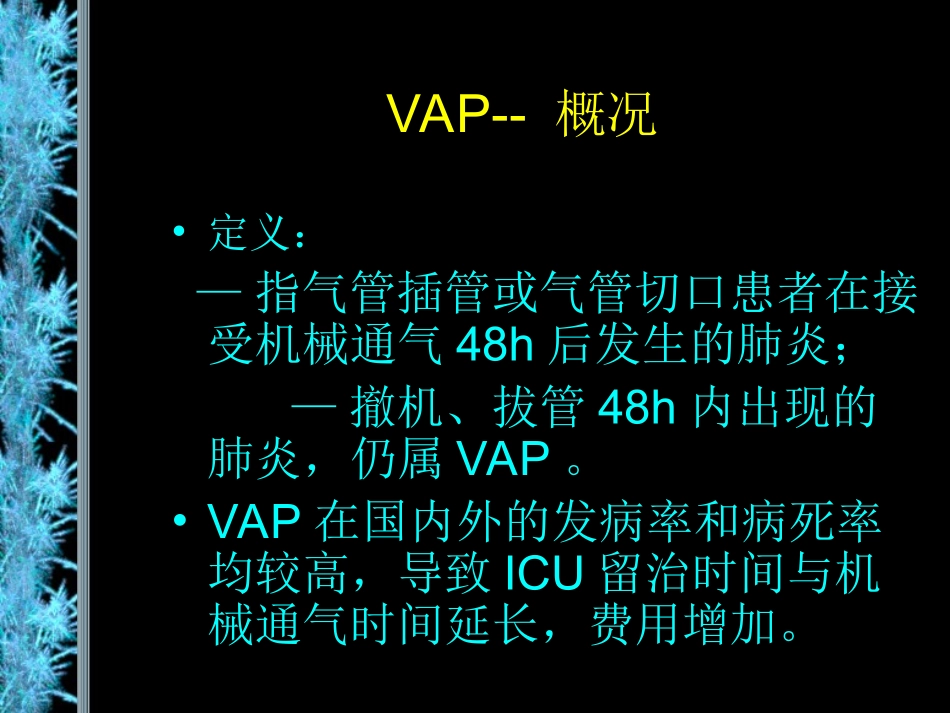 VAP2013_第2页